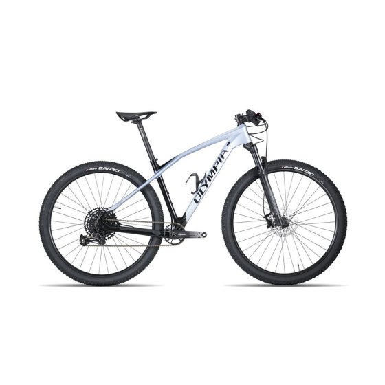 Olympia Iron 29 Pro Shimano 12v Rock Shox Sid SL Select Grigio
